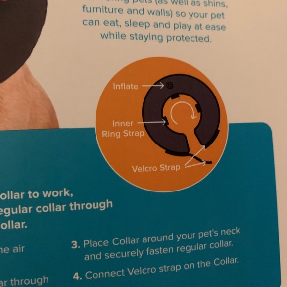 Dog recovery collar - Picture 8 of 9